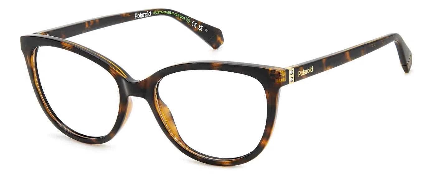 Polaroid Core PLDD504 Eyeglasses